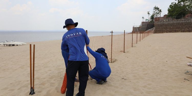 Segundo o Serviço Geológico do Brasil, a região amazônica está passando por um processo de seca severa. Foto: Phil Limma / Arquivo Semcom