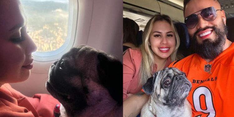 História de viagem do Duke teve final feliz. Mas nem todos os casos são assim