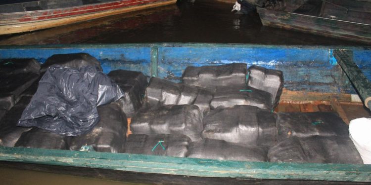 Os indivíduos, ao abicarem na margem do rio. Foto: Divulgação