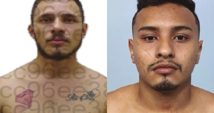 As denúncias podem ser feitas pelo número (92) 98118-9535, da DEHS, ou pelo 181, da SSP-AM. Foto: Divulgação/PC-AM