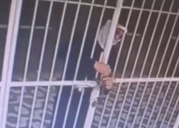 Eles invadiram o estabelecimento comercial e furtaram diversos aparelhos eletrônicos e televisores. Foto: Reprodução/PC-AM