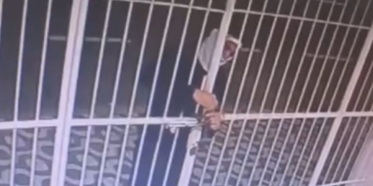 Eles invadiram o estabelecimento comercial e furtaram diversos aparelhos eletrônicos e televisores. Foto: Reprodução/PC-AM