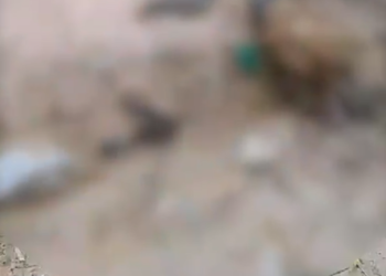 O crime ocorreu na tarde deste sábado (30). Foto: Reprodução