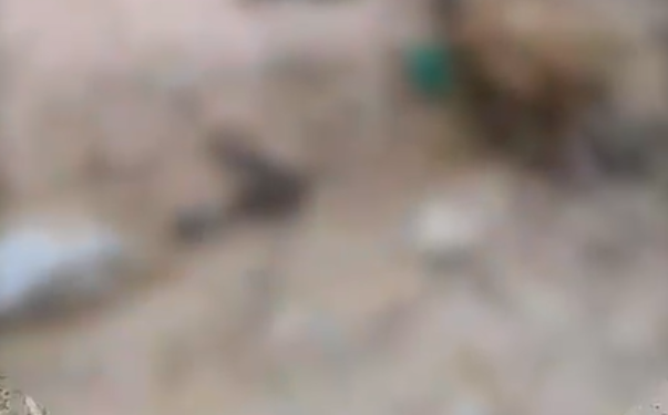 O crime ocorreu na tarde deste sábado (30). Foto: Reprodução