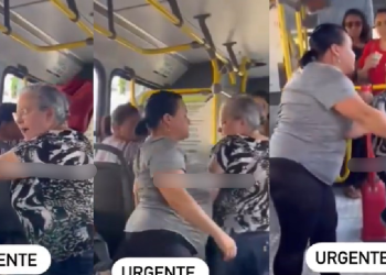 O motorista teve que intervir na situação. Foto: Reprodução