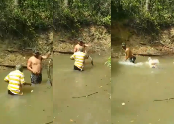 O idoso caiu durinho no rio e se molha todinho. Foto: Reprodução