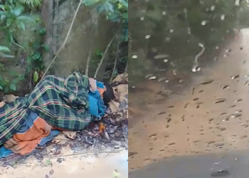 Uma pessoa que passava pelo local acionou a polícia. Foto: Reprodução