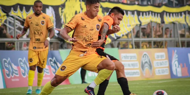 Clubes se enfrentaram na final do barezão 2023 e a onça pintada foi a campeã