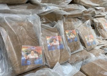 Material era armazenado dentro de transformadores de energia e enviados para vários estados do país. Foto: Erlon Rodrigues/PC-AM