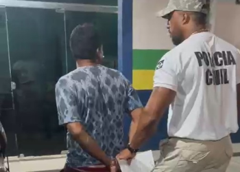 O caso ocorreu no município de Borba (a 151 quilômetros de Manaus), na última segunda-feira (29). Foto: Reprodução