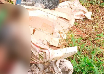 O corpo foi encontrado nesta quinta-feira (11). Foto: Reprodução