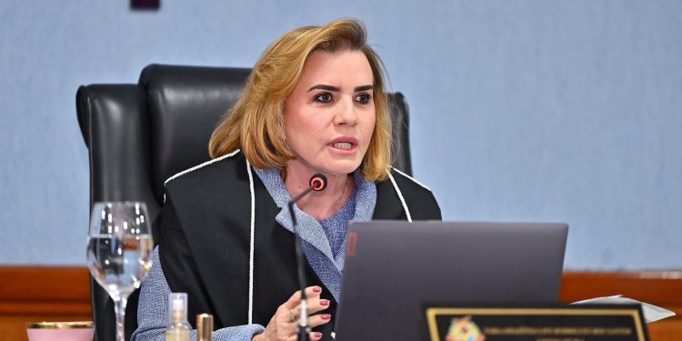 O assunto foi colocado para discussão durante a reunião plenária e aprovado por unanimidade pelos membros. Foto: Joel Arthus