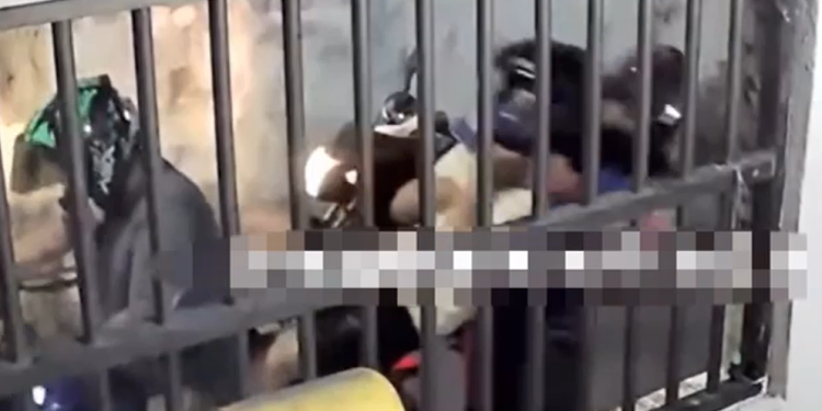 Câmeras flagraram os crimes e servem de alerta. Foto: Reprodução