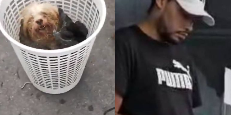 O homem estaria indo fugir pra São Paulo. Foto: Reprodução