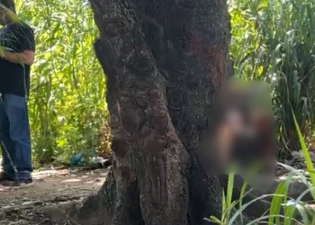 A vítima seria usuário de drogas segundo a família. Foto: Reprodução