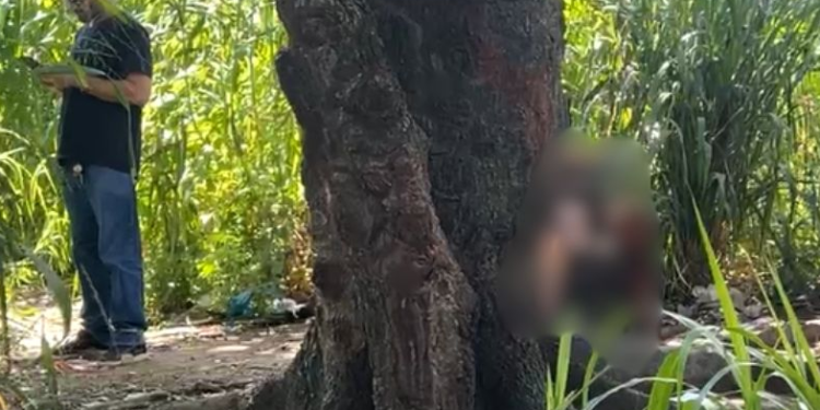 A vítima seria usuário de drogas segundo a família. Foto: Reprodução