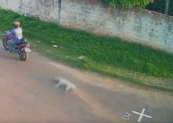 O caso já foi denunciado para a Polícia Civil. Foto: Reprodução