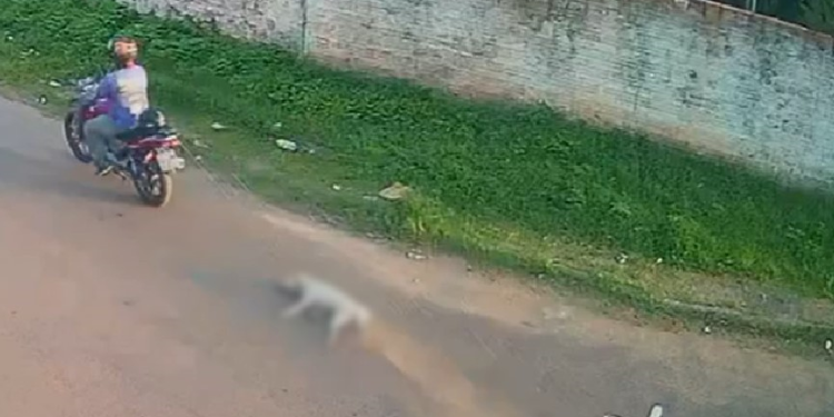 O caso já foi denunciado para a Polícia Civil. Foto: Reprodução