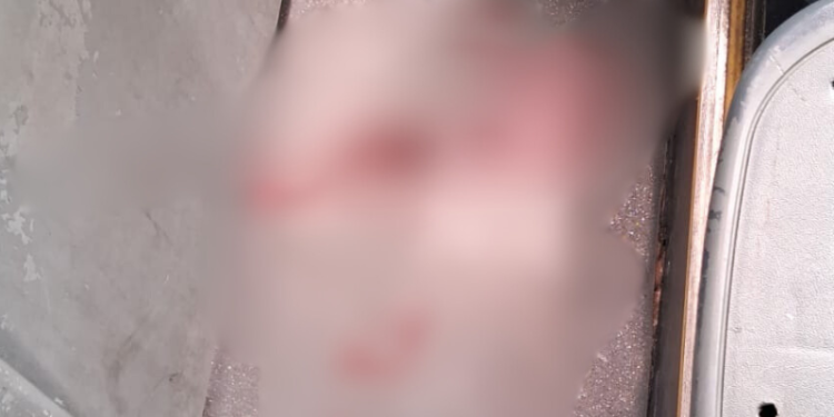 O crime ocorreu na tarde desta Quarta-feira de Cinzas. Foto: Reprodução