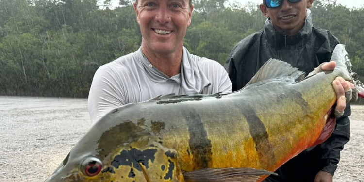 Ele foi capturado em 2023 no Rio Marié, no Amazonas. Foto: Reprodução