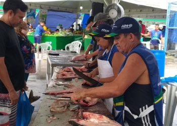 Evento visa movimentar a economia local durante a Semana Santa, beneficiando mais de 130 famílias de feirantes. Foto: Ruth Jucá / ADS