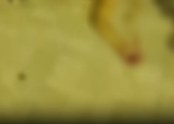 O homem foi socorrido e levado para um hospital. Foto: Reprodução