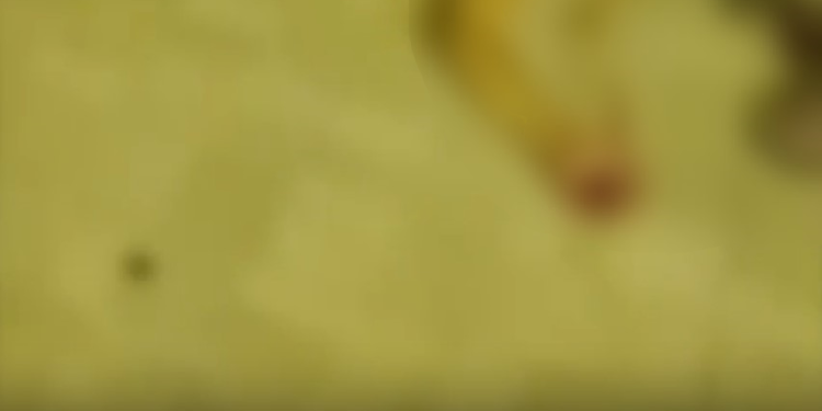 O homem foi socorrido e levado para um hospital. Foto: Reprodução