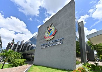 São cinco recursos, três representações, uma prestação de contas e um embargo de declaração. Foto: Joel Arthus