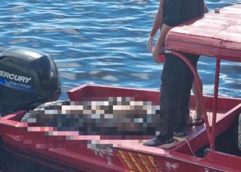 A vítima tinha aproximdamente 40 anos e caiu na noite de quinta-feira (11). Foto: Reprodução