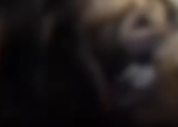 A motivação, no entanto, ainda não foi apontada. Foto: Reprodução