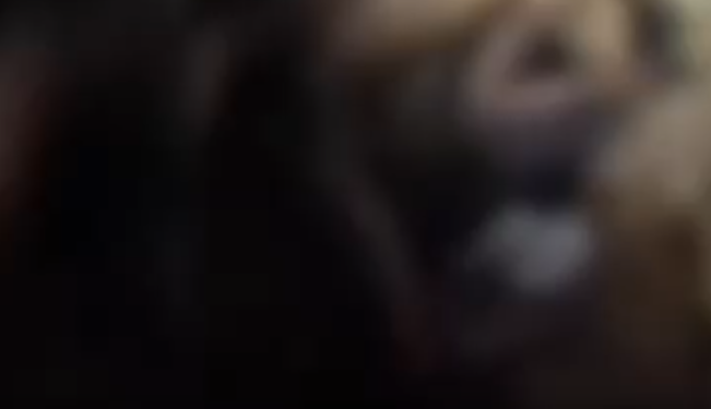 A motivação, no entanto, ainda não foi apontada. Foto: Reprodução