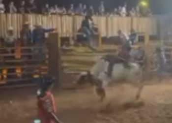 Veja momento em que peão morre ao ser pisoteado por touro