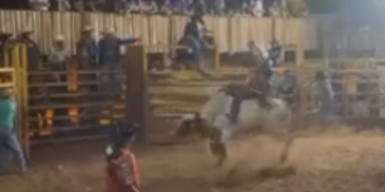 Veja momento em que peão morre ao ser pisoteado por touro