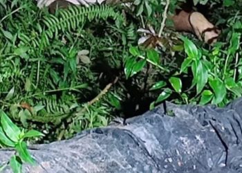 Moradores do Nova Cidade encontram homem morto com várias marcas de tiros pelo corpo