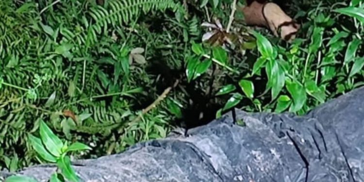 Moradores do Nova Cidade encontram homem morto com várias marcas de tiros pelo corpo