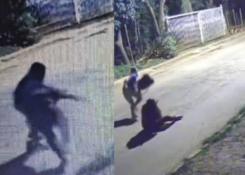 Vídeo: bandido pega vítima pelos cabelos durante roubo de celular e câmera filma tudo