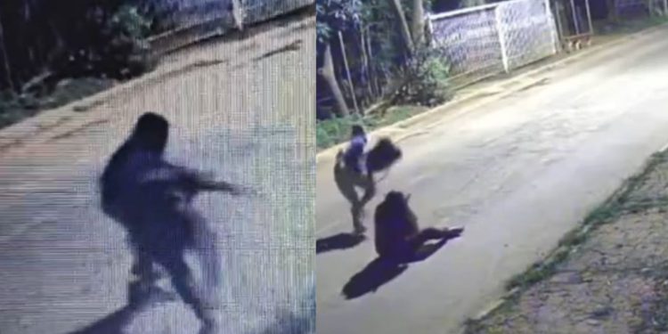 Vídeo: bandido pega vítima pelos cabelos durante roubo de celular e câmera filma tudo