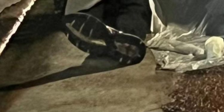 Discussão no bairro Praça 14 termina com homem esfaqueado até a morte