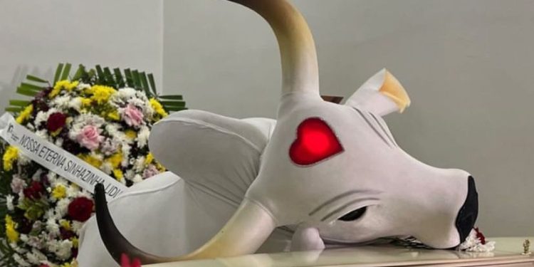 O velório foi aberto ao público. Foto: Reprodução