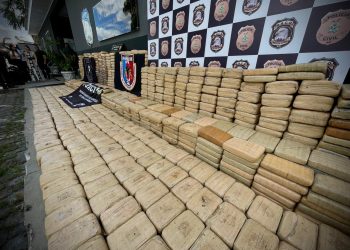 O material entorpecente foi apreendido nas proximidades do município de Iranduba. Foto: Erlon Rodrigues e Divulgação/PC-AM