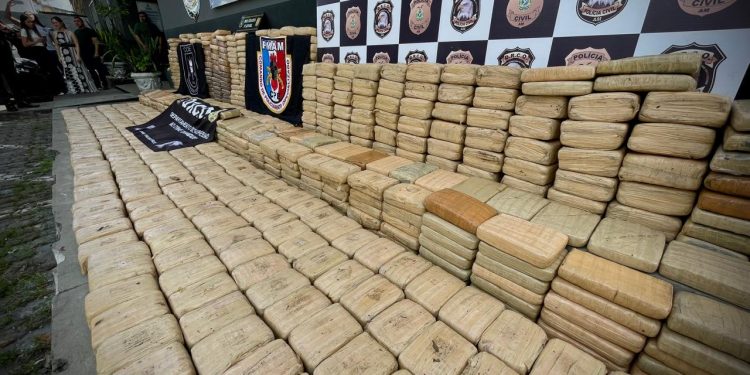 O material entorpecente foi apreendido nas proximidades do município de Iranduba. Foto: Erlon Rodrigues e Divulgação/PC-AM