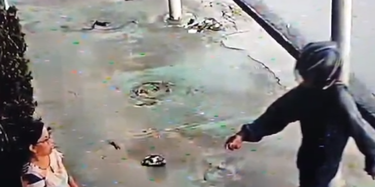 O crime ocorreu na manhã desta segunda-feira (6). Foto: Reprodução