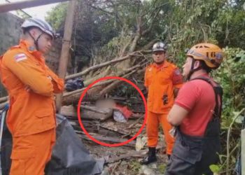 Vídeo: durante a madrugada, árvore tomba e esmagada morador do bairro Redenção