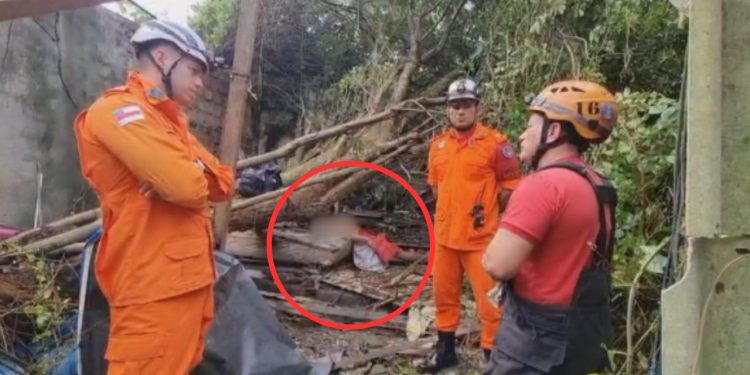 Vídeo: durante a madrugada, árvore tomba e esmagada morador do bairro Redenção