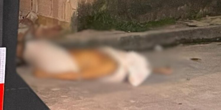 Minutos depois de matarem irmão de PM, pistoleiros fazem segunda vitima no Cidade de Deus