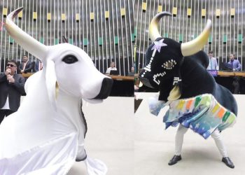 Em homenagem ao Festival de Parintins, Garantido e Caprichoso são homenageados na Câmara dos Deputados