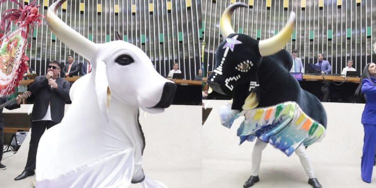 Em homenagem ao Festival de Parintins, Garantido e Caprichoso são homenageados na Câmara dos Deputados