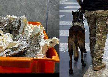Mulher é pega pela PF tentando viajar com maconha envolta do corpo no aeroporto de Manaus