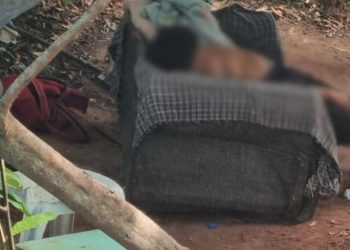 Corpo encontrado em área de mata no São Raimundo era de morador de rua