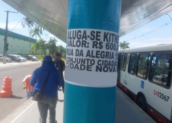 "Inaceitável", diz IMMU após plataforma de ônibus ser alvo de vandalismo em menos de 48h de sua reforma